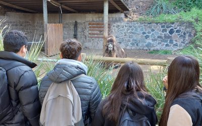 SALIDA PEDAGÓGICA – Zoológico Metropolitano