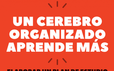Infografía: Un cerebro organizado aprende más (7º mo a 4º medio)