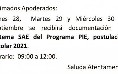 Postulación 2021 Sistema SAE del programa PIE