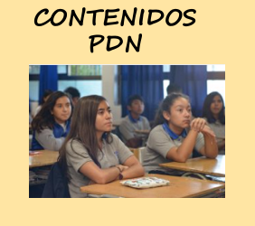 Contenidos PDN