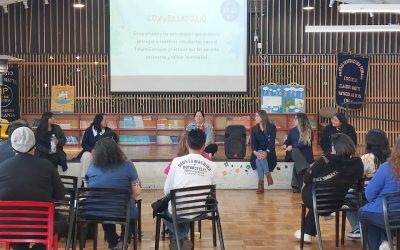 Taller PIE Autoregulación Emocional