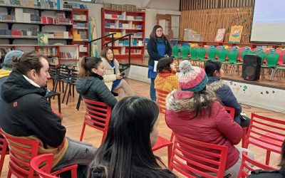 Taller Fluidez Lectora